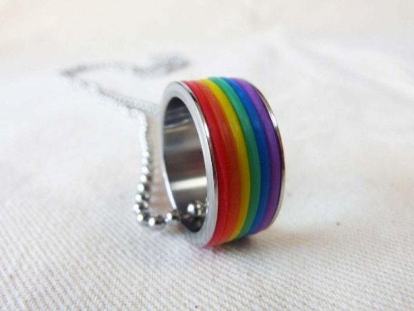 Photo2: Stainless steel pride ring necklace (2)