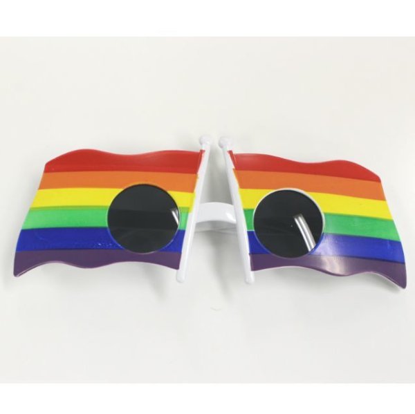 Photo1: Rainbow sunglasses (1)